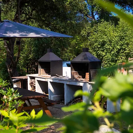 Camping Domaine De La Testa