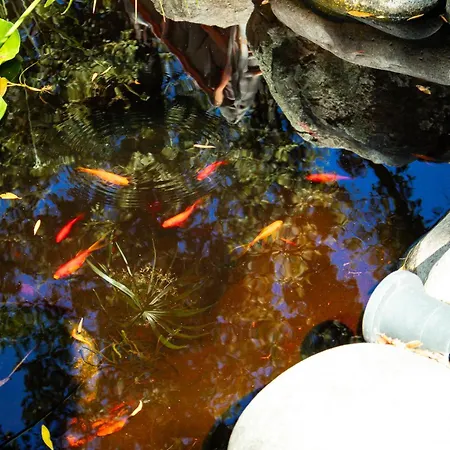 Domaine De La Testa Sainte-Lucie de Porto-Vecchio