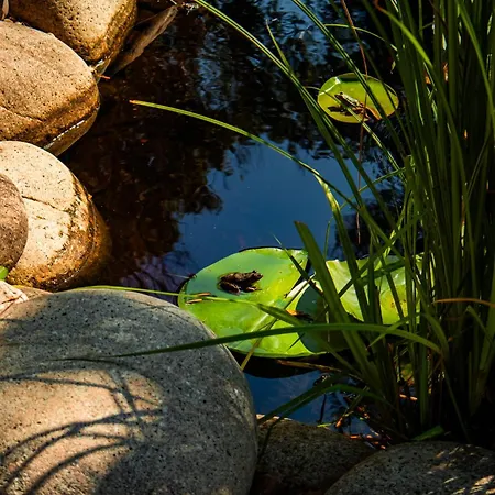 Camping Domaine De La Testa