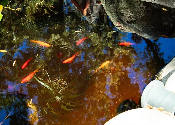 Domaine De La Testa Sainte-Lucie de Porto-Vecchio