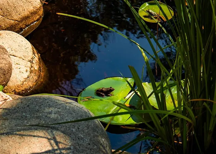 Parque de Campismo Domaine De La Testa